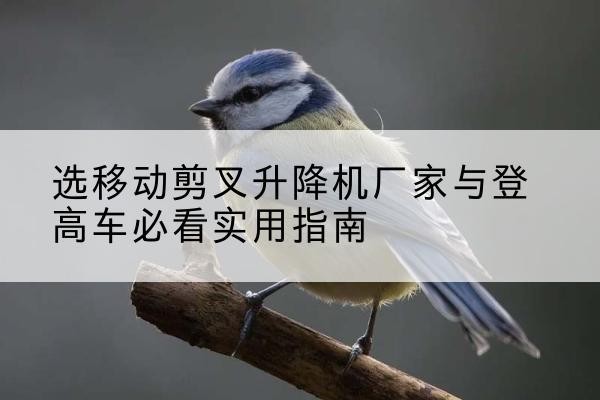 和龙电动升降机厂家-选移动剪叉升降机厂家与登高车必看实用指南