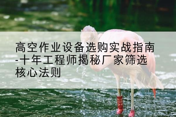 和龙剪叉式升降机厂家-高空作业设备选购实战指南-十年工程师揭秘厂家筛选核心法则