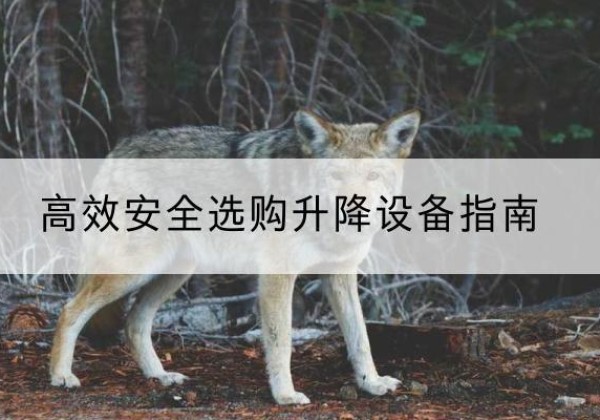 和龙升降货梯厂家推荐-*安全选购升降设备指南