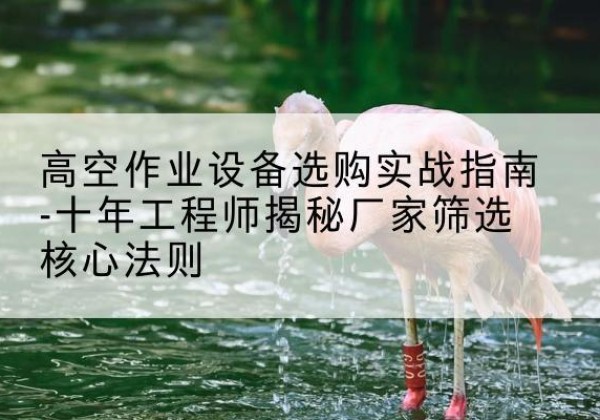 和龙剪叉式升降机厂家-高空作业设备选购实战指南-十年工程师揭秘厂家筛选核心法则
